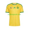 Maillot de Foot Afrique Du Sud World Cup Domicile 2026